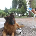 Barone Di Muro Torre dell'Orso
