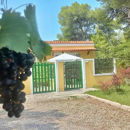Barone Di Muro *