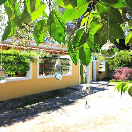 Casa di campagna Barone Di Muro *