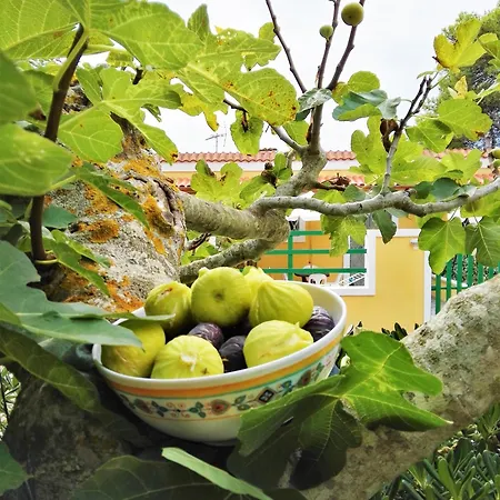 Barone Di Muro 컨트리하우스 토레 델 로소