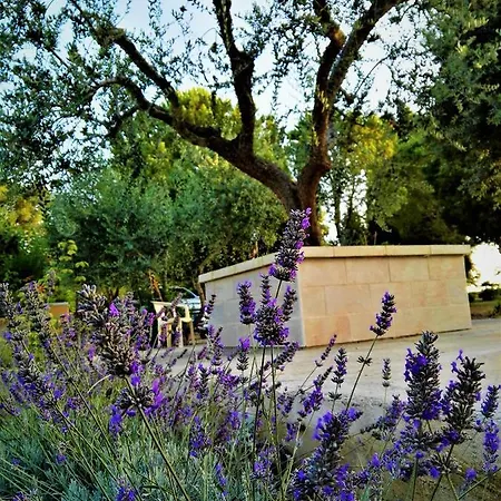 컨트리하우스 Barone Di Muro 토레 델 로소