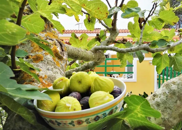 Barone Di Muro Casa di campagna Torre dell'Orso