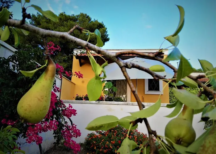 Barone Di Muro Casa di campagna *