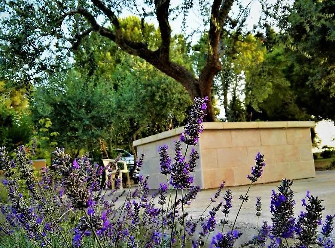 Casa di campagna Barone Di Muro Torre dell'Orso